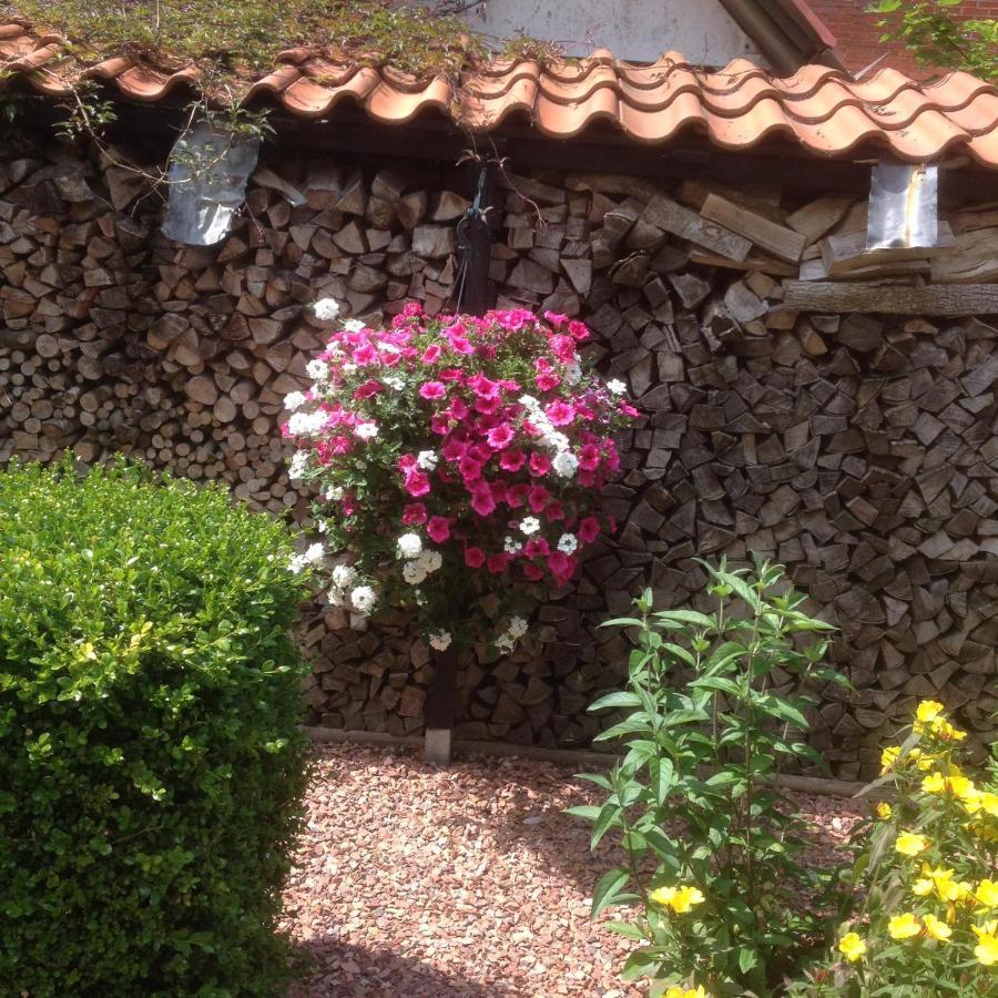 Bed and Breakfast T' Hogeland Ainrom Eenrum Exterior foto