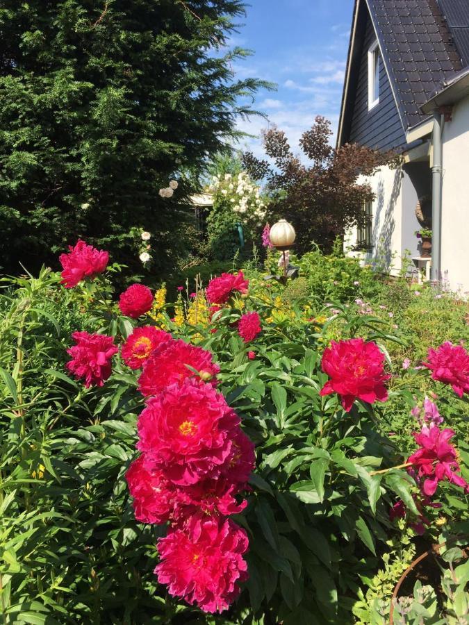 Bed and Breakfast T' Hogeland Ainrom Eenrum Exterior foto